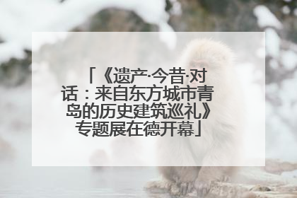 《遗产·今昔·对话：来自东方城市青岛的历史建筑巡礼》专题展在德开幕