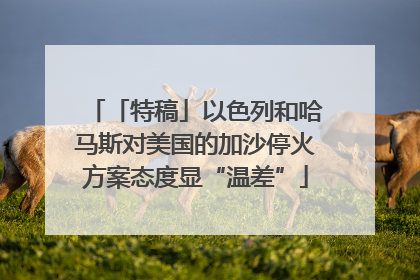 「特稿」以色列和哈马斯对美国的加沙停火方案态度显“温差”