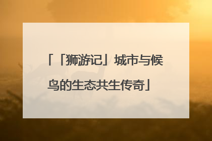 「狮游记」城市与候鸟的生态共生传奇