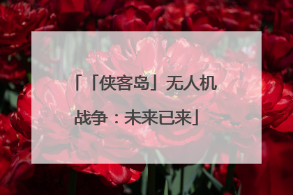 「侠客岛」无人机战争：未来已来