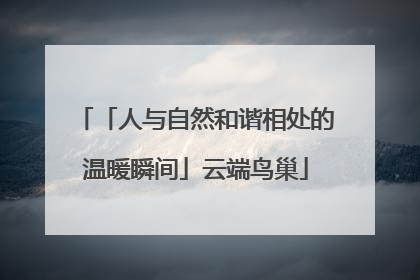 「人与自然和谐相处的温暖瞬间」云端鸟巢