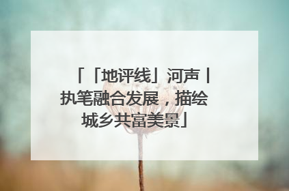 「地评线」河声丨执笔融合发展，描绘城乡共富美景