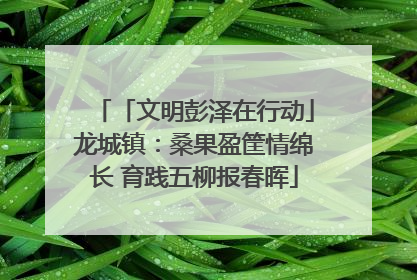 「文明彭泽在行动」龙城镇：桑果盈筐情绵长 育践五柳报春晖