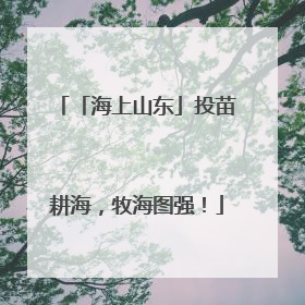 「海上山东」投苗耕海，牧海图强！
