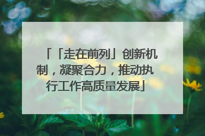 「走在前列」创新机制，凝聚合力，推动执行工作高质量发展