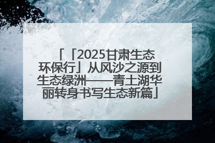 「2025甘肃生态环保行」从风沙之源到生态绿洲——青土湖华丽转身书写生态新篇
