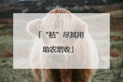 “秸”尽其用 助农增收
