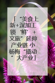 “美食上新+深加工锁‘鲜’+文旅”延伸产业链 小杨梅“撬动”大产业