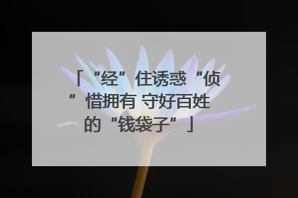 “经”住诱惑“侦”惜拥有 守好百姓的“钱袋子”