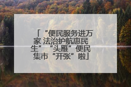 “便民服务进万家 法治护航惠民生”“头雁”便民集市“开张”啦