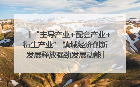 “主导产业+配套产业+衍生产业” 镇域经济创新发展释放强劲发展动能