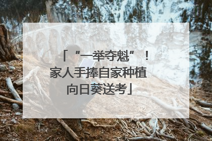 “一举夺魁”！家人手捧自家种植向日葵送考