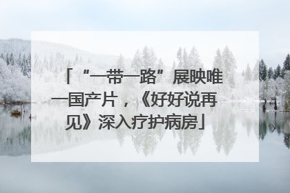 “一带一路”展映唯一国产片，《好好说再见》深入疗护病房