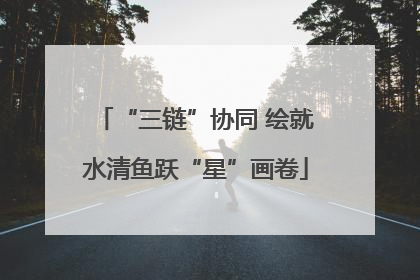 “三链”协同 绘就水清鱼跃“星”画卷