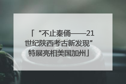 “不止秦俑——21世纪陕西考古新发现”特展亮相美国加州