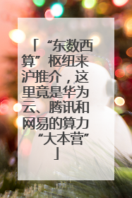 “东数西算”枢纽来沪推介，这里竟是华为云、腾讯和网易的算力“大本营”