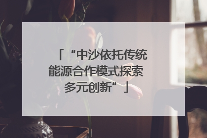 “中沙依托传统能源合作模式探索多元创新”