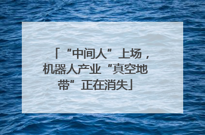 “中间人”上场，机器人产业“真空地带”正在消失