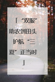 “双服”助农到田头 护航“三夏”正当时