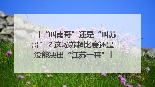 “叫南哥”还是“叫苏哥”？这场苏超比赛还是没能决出“江苏一哥”