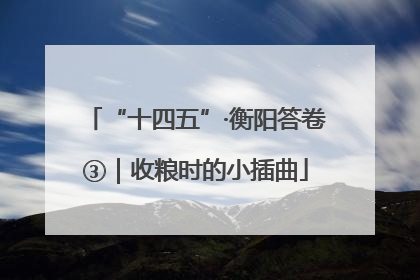 “十四五”·衡阳答卷③｜收粮时的小插曲