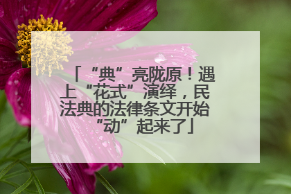 “典”亮陇原！遇上“花式”演绎，民法典的法律条文开始“动”起来了