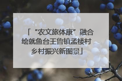 “农文旅体康”融合绘就鱼台王鲁镇孟楼村乡村振兴新图景