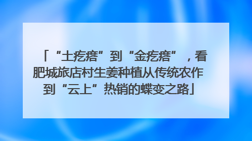 “土疙瘩”到“金疙瘩”，看肥城旅店村生姜种植从传统农作到“云上”热销的蝶变之路