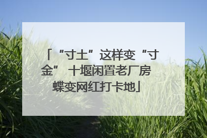 “寸土”这样变“寸金” 十堰闲置老厂房蝶变网红打卡地