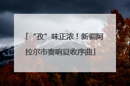 “孜”味正浓！新疆阿拉尔市奏响夏收序曲