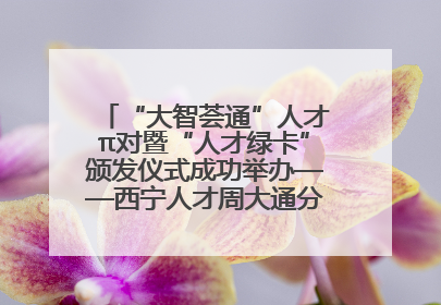 “大智荟通”人才π对暨“人才绿卡”颁发仪式成功举办——西宁人才周大通分会场亮点纷呈