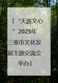 “天涯文心”2025年三亚市文化发展主题交流会举办