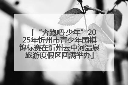 “奔跑吧·少年”2025年忻州市青少年围棋锦标赛在忻州云中河温泉旅游度假区圆满举办