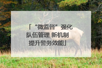 “微监督”强化队伍管理 新机制提升警务效能