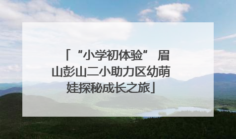 “小学初体验” 眉山彭山二小助力区幼萌娃探秘成长之旅