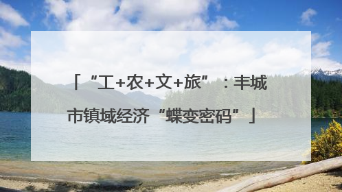 “工+农+文+旅”：丰城市镇域经济“蝶变密码”