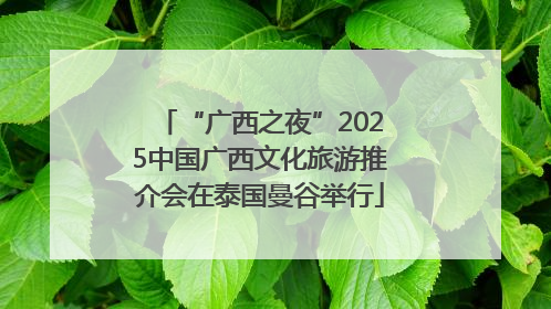 “广西之夜”2025中国广西文化旅游推介会在泰国曼谷举行