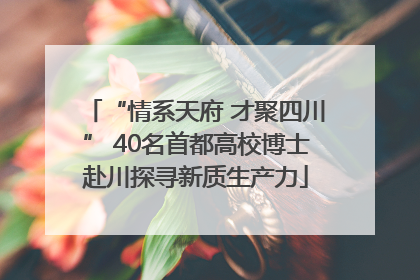 “情系天府 才聚四川” 40名首都高校博士赴川探寻新质生产力