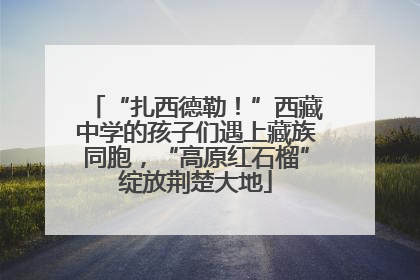 “扎西德勒！”西藏中学的孩子们遇上藏族同胞，“高原红石榴”绽放荆楚大地