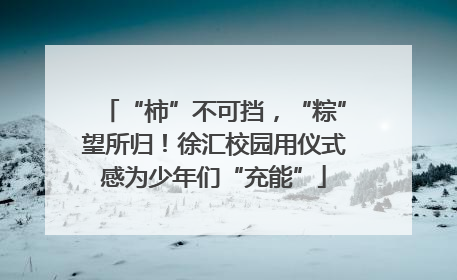 “柿”不可挡，“粽”望所归！徐汇校园用仪式感为少年们“充能”