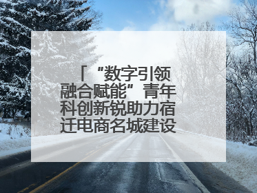 “数字引领 融合赋能”青年科创新锐助力宿迁电商名城建设活动成功举办
