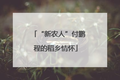 “新农人”付鹏程的稻乡情怀