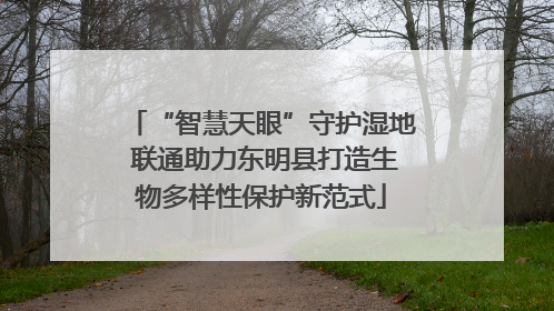 “智慧天眼”守护湿地 联通助力东明县打造生物多样性保护新范式