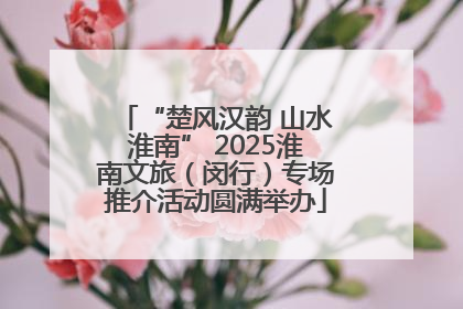 “楚风汉韵 山水淮南” 2025淮南文旅（闵行）专场推介活动圆满举办