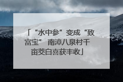 “水中参”变成“致富宝” 南漳八泉村千亩茭白喜获丰收