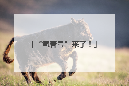 “氢春号”来了！