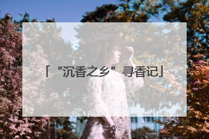 “沉香之乡”寻香记