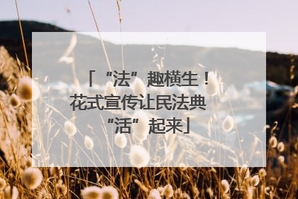 “法”趣横生！花式宣传让民法典“活”起来