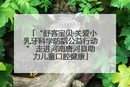 “舒客宝贝·关爱小乳牙科学防龋公益行动” 走进河南唐河县助力儿童口腔健康