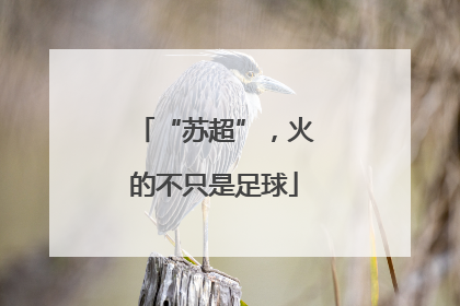 “苏超”，火的不只是足球